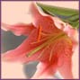 ")+"_="+(new Date(
